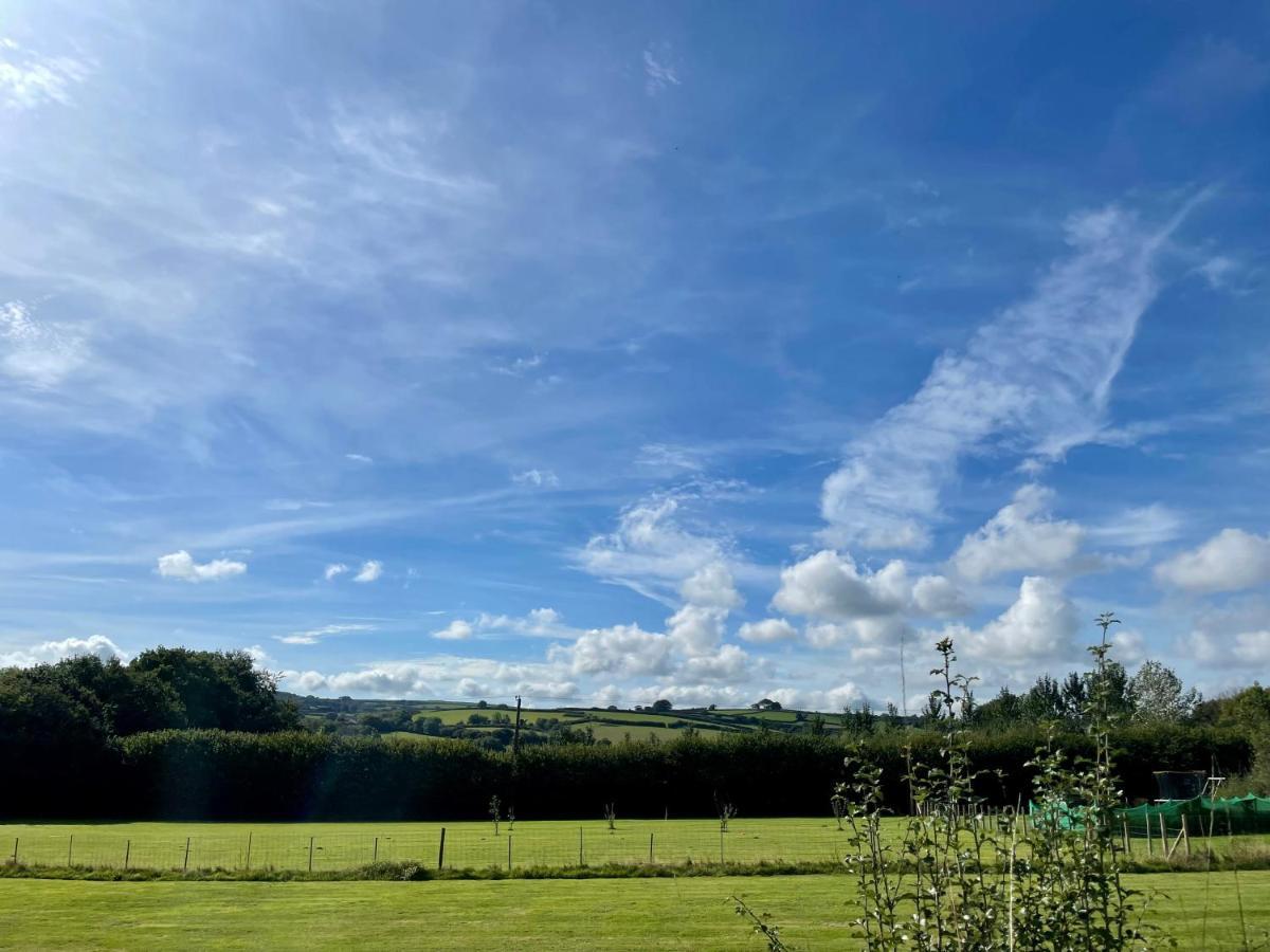 The Garden Room - A Cosy Country Stay In Cornwall Callington Dış mekan fotoğraf